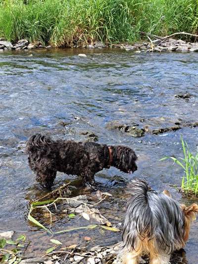 Eure schönsten Fotos mit Wasser-Beitrag-Bild