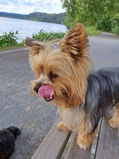 Handyfoto challenge Nr. 13: Waschlappen raus!-Beitrag-Bild