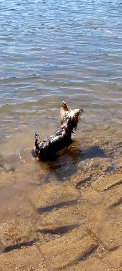 Foto Challenge Nr.133-Beitrag-Bild