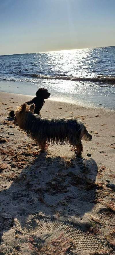 Zeigt eure schönsten Sommerbilder-Beitrag-Bild