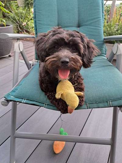 Handyfoto challenge Nr. 13: Waschlappen raus!-Beitrag-Bild