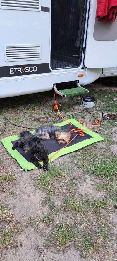 Zeigt eure schönsten Sommerbilder-Beitrag-Bild