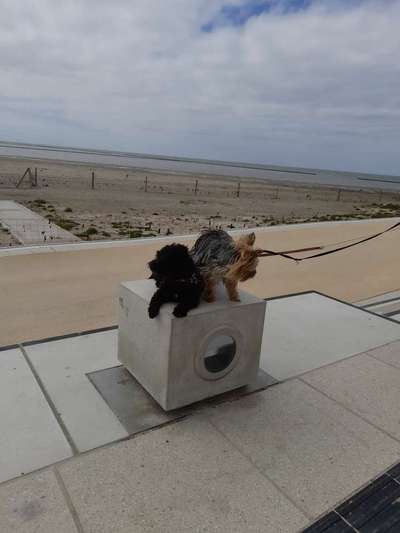 37. Collagen Challenge- Am Strand-Beitrag-Bild