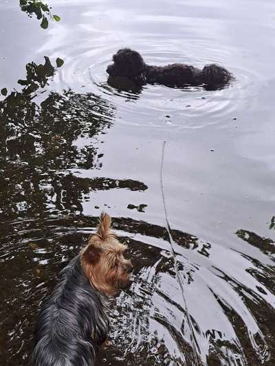 Eure schönsten Fotos mit Wasser-Beitrag-Bild