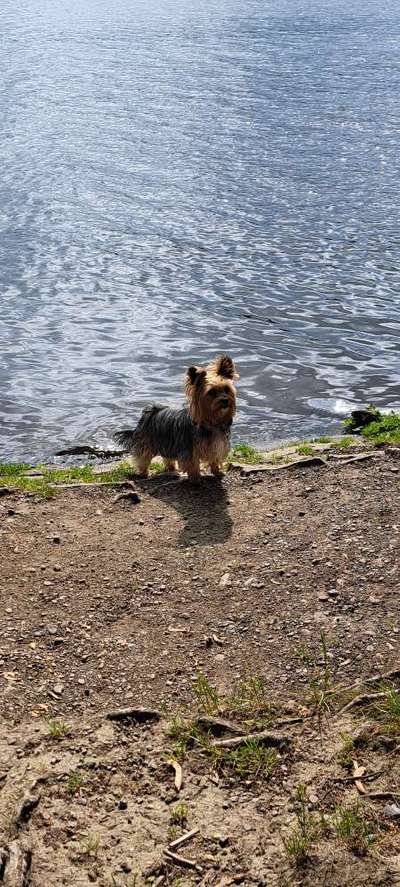 37. Collagen Challenge- Am Strand-Beitrag-Bild