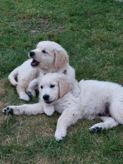 Fotochallenge 130-Beitrag-Bild