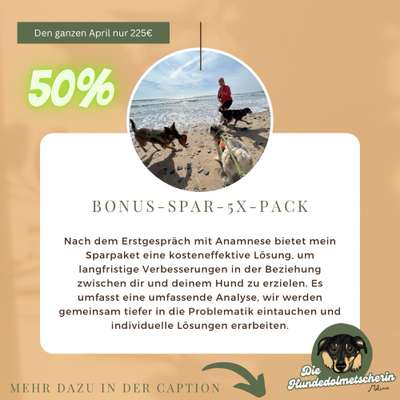 Giftköder-Online-Einzelcoaching Bonus-Spar-5x-Pack-Bild