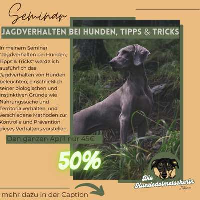 Giftköder-Jagdverhalten bei Hunden, Tipps & Tricks-Bild