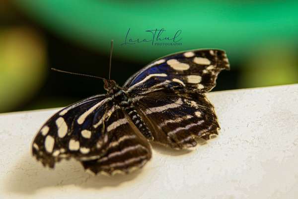 Austausch zur Fotografie-Beitrag-Bild