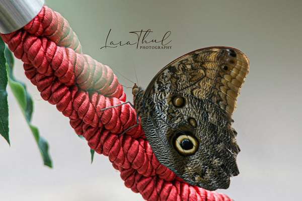 Austausch zur Fotografie-Beitrag-Bild