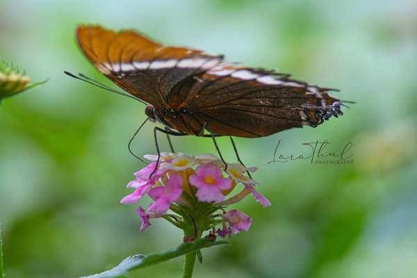 Austausch zur Fotografie-Beitrag-Bild