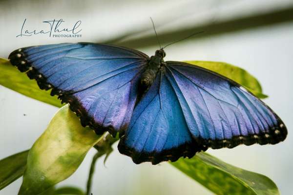 Austausch zur Fotografie-Beitrag-Bild