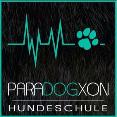 Hundeschulen-ParaDOGxon Hundeschule-Bild