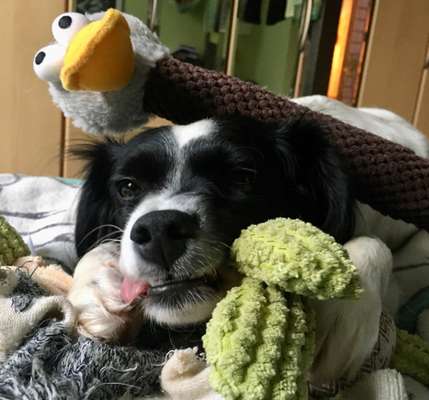 Handy-Foto-Challange Nr. 8-Beitrag-Bild