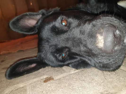 müde der kleine-Beitrag-Bild