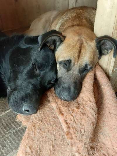 müde der kleine-Beitrag-Bild