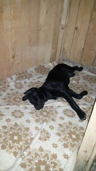 müde der kleine-Beitrag-Bild