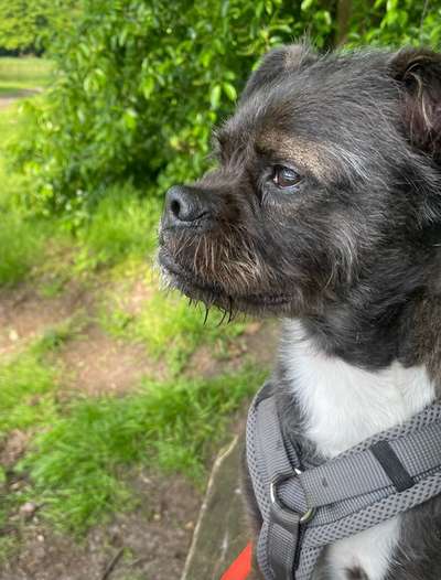 Dogorama Photo Challenge - Details Ganz nah-Beitrag-Bild