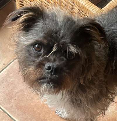 Dogorama Photo Challenge - Details Ganz nah-Beitrag-Bild