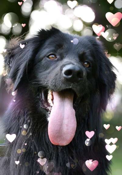 Lieblingsbild-Beitrag-Bild