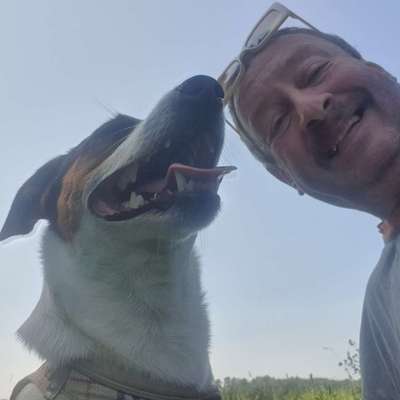 Hundetreffen-Suche Spielgefährtin für meinen 3jähr.Jack-Russell-Rüden (Wiesenhügel/Nonnenholz/Roter Stein)