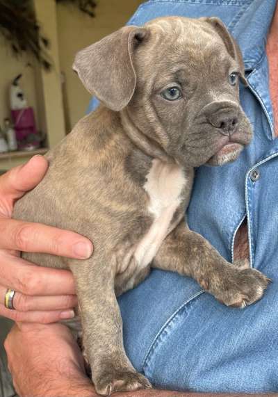 Erstes Bild-Beitrag-Bild