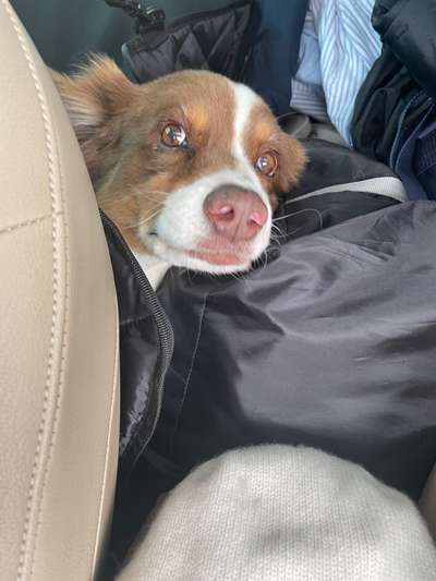 Fotochallange 84-Beitrag-Bild