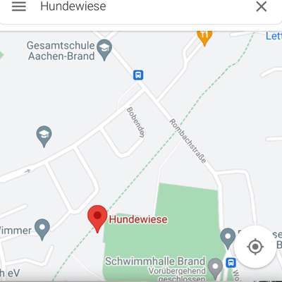 Hundetreffen-Hundetreffen Brand Hundewiese-Bild