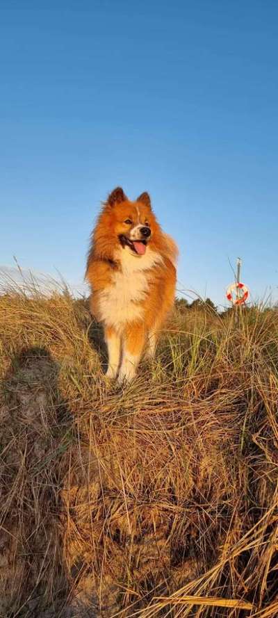 Lieblings Fotos-Beitrag-Bild