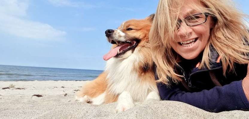 Dogorama Photo Challenge - Gassipause-Beitrag-Bild