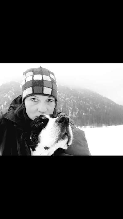 Die Ähnlichkeit zum Hund-Beitrag-Bild