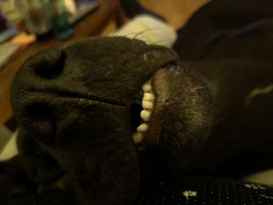 7. Collagen Challenge - Ganz Nah-Beitrag-Bild