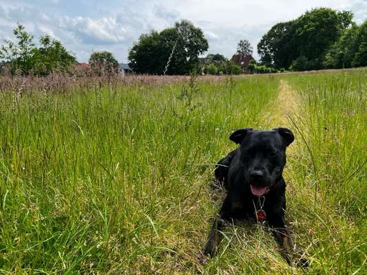 Theos  Fotochallenge Nummer 2-Beitrag-Bild