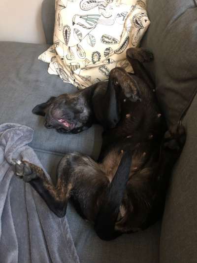 53. Collage Challenge - Verschiedene Blickwinkel-Beitrag-Bild