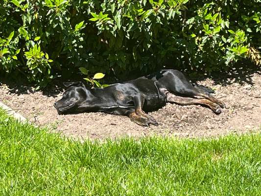 45. Collage Challenge - Lieblingsurlaubs/ Ausflugsziele-Beitrag-Bild