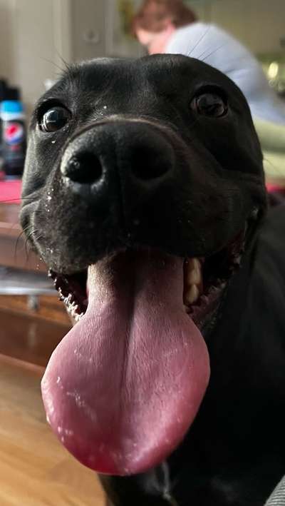 Handy-foto Challange nr. 11-Beitrag-Bild