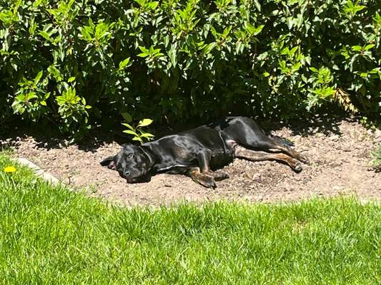 Fotochallenge Nr. 94 It's summer time-Beitrag-Bild