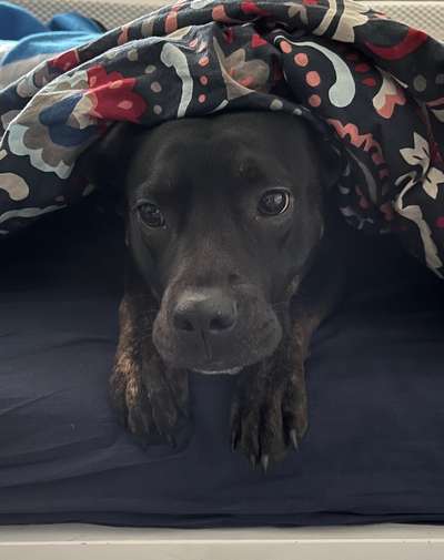 23. Collagen-Challenge: Portraits-Beitrag-Bild