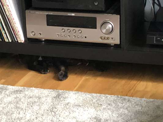 143. Fotochallenge: Ja, wo isser denn?-Beitrag-Bild