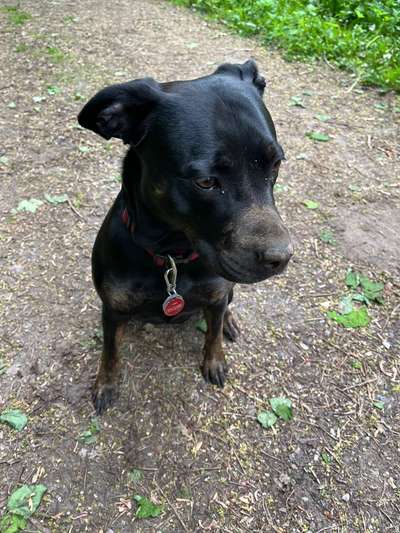 12. Farben Foto Challenge --- Braun-Beitrag-Bild