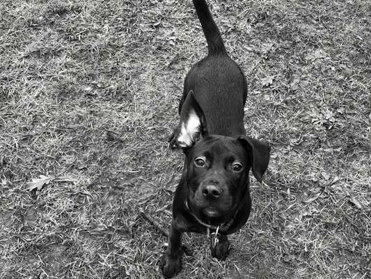 FarbenFoto - Challenge: Sepia-Beitrag-Bild