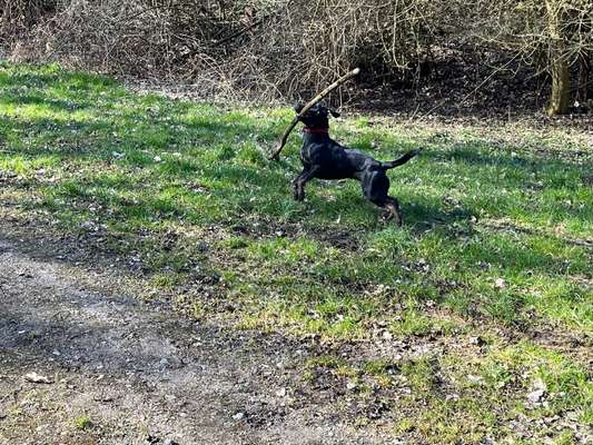 65. Handy Foto Challange                     "Ich kann nicht ohne..."-Beitrag-Bild