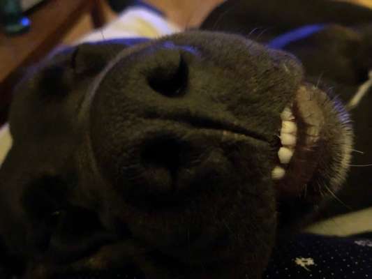 42. Handy Fotochallenge - Den richtigen Riecher haben-Beitrag-Bild