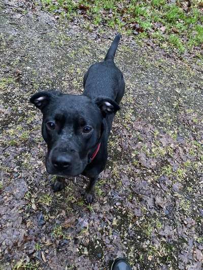 Handy-Foto Challange Nr. 10-Beitrag-Bild