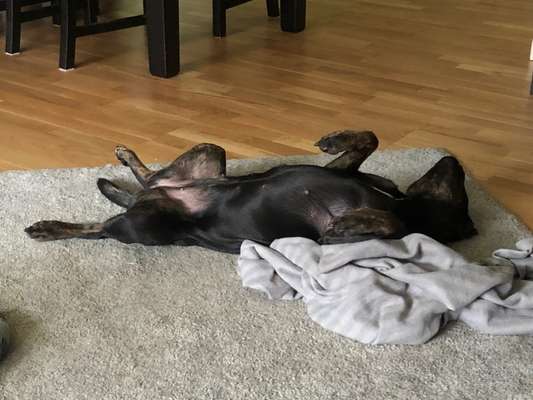 Fotochallenge Nr.89 - Charakter und Wesen-Beitrag-Bild