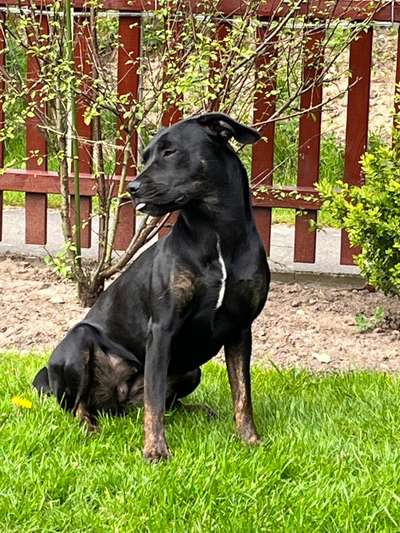 18. Collagen Challenge - Zunge raus!-Beitrag-Bild