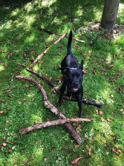 Fotochallenge Nr.105  Glücksmomente-Beitrag-Bild