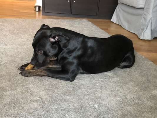 53. Collage Challenge - Verschiedene Blickwinkel-Beitrag-Bild