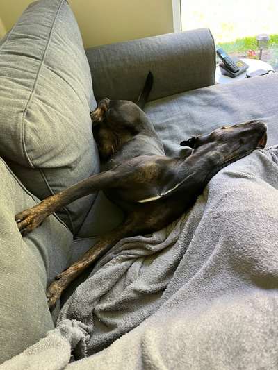 15. Handyfoto Challenge - Indoor Aktivitäten-Beitrag-Bild