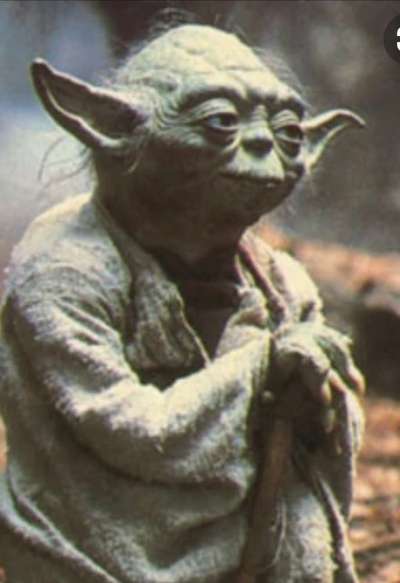 Dogorama Photo Challenge - TV Hund-Beitrag-Bild